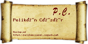 Pelikán Cézár névjegykártya